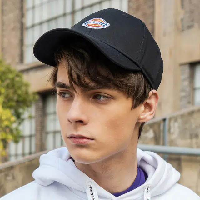 Dickies logo