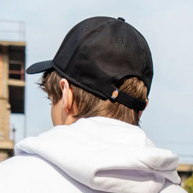 Dickies logo