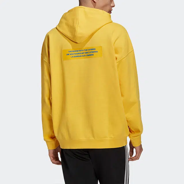 adidas originals Big Trfl Hoodie