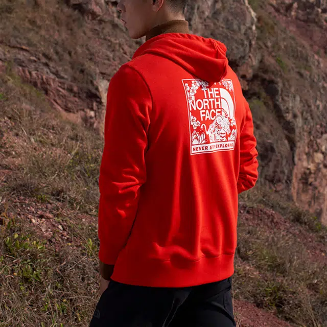 THE NORTH FACE Logo