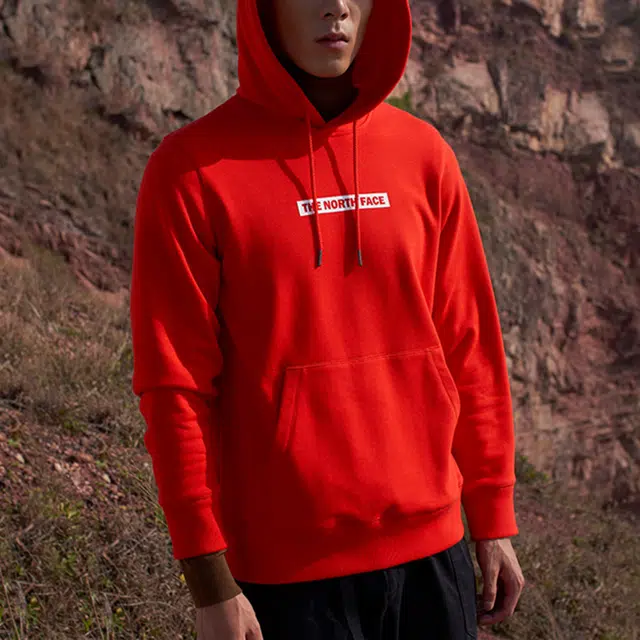 THE NORTH FACE Logo