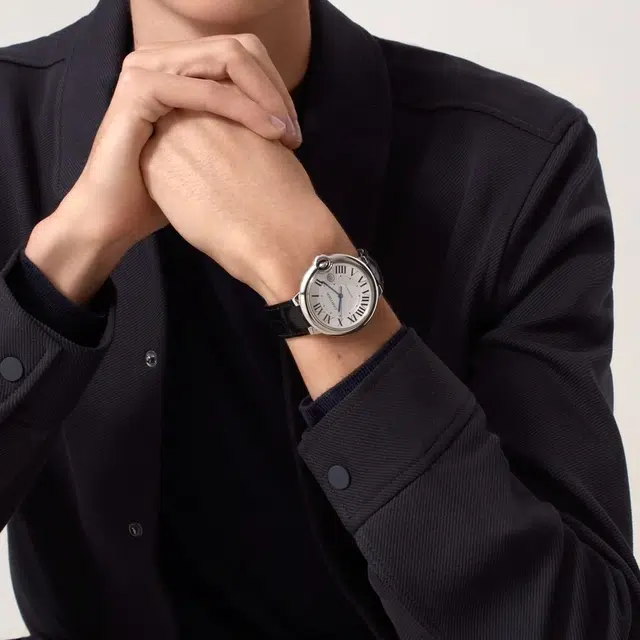 CARTIER 42mm WSBB0026