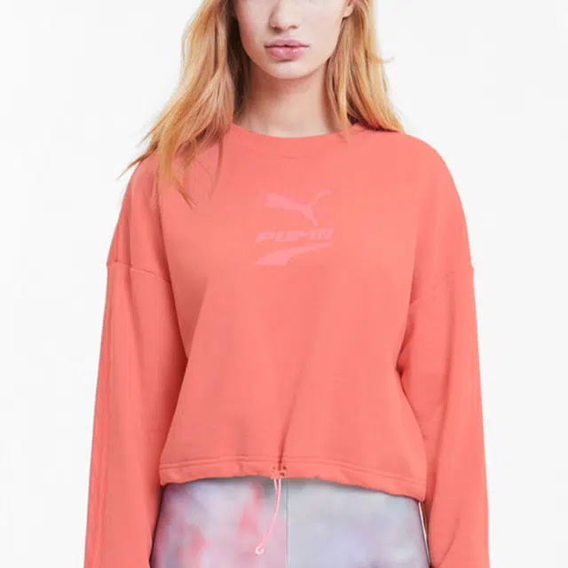 Puma Evide Logo