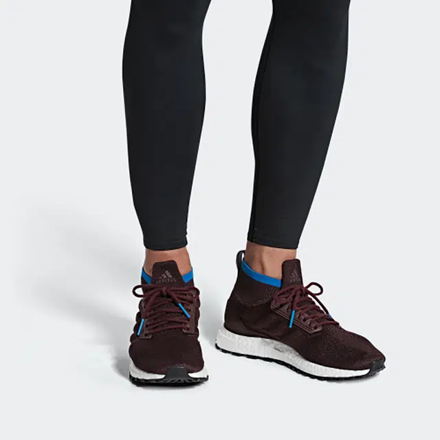 adidas Ultraboost All Terrain