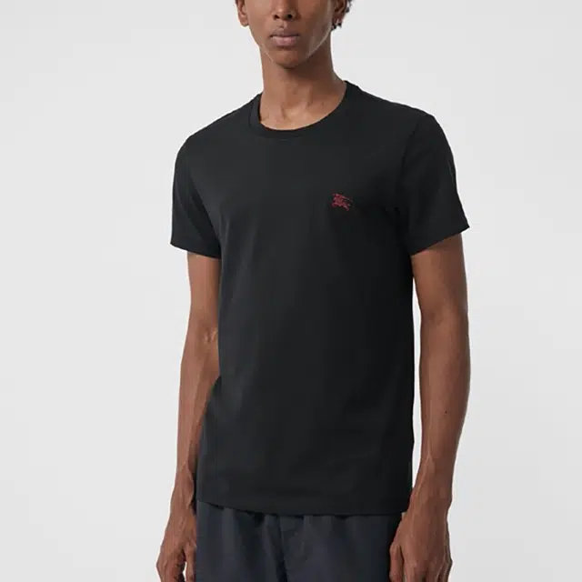 Burberry T 80038281