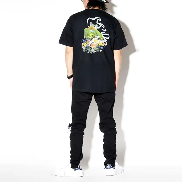 RIPNDIP T