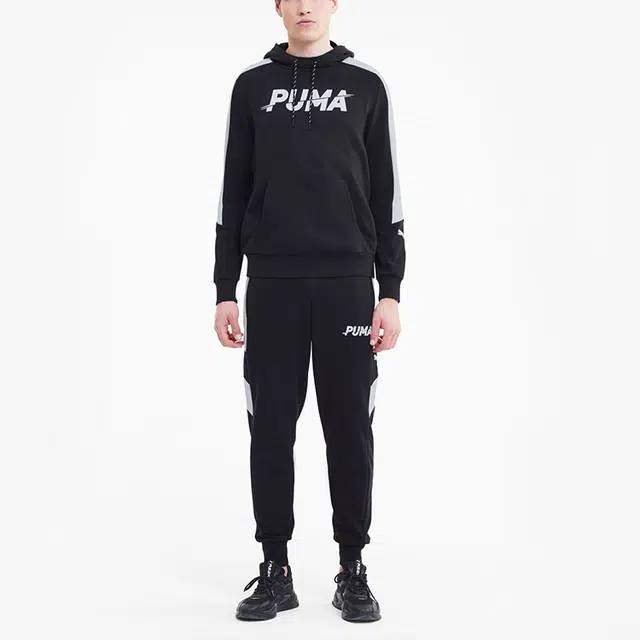 Puma Modern Logo