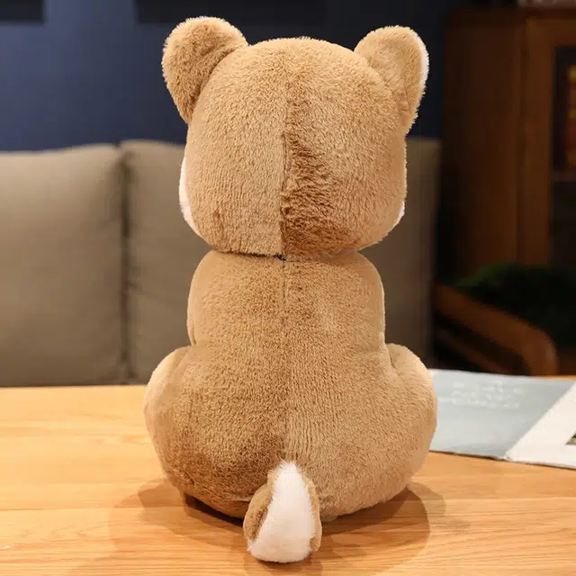 45cm35cm25cm