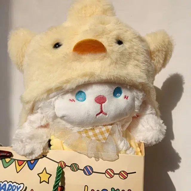 24cm