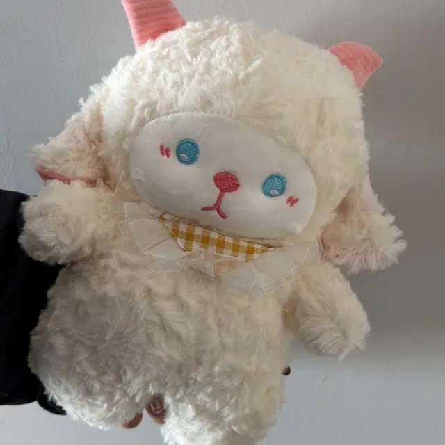 24cm