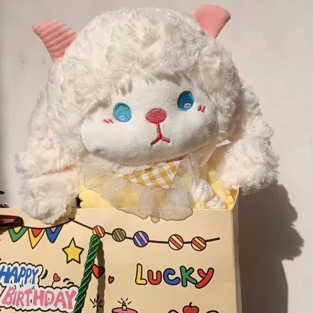 24cm