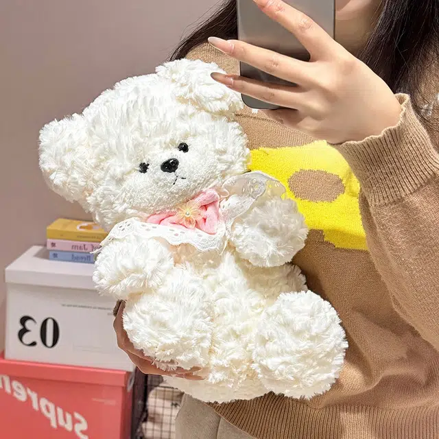 25cm35cm50cm
