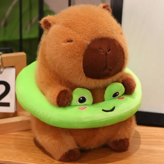 22cm
