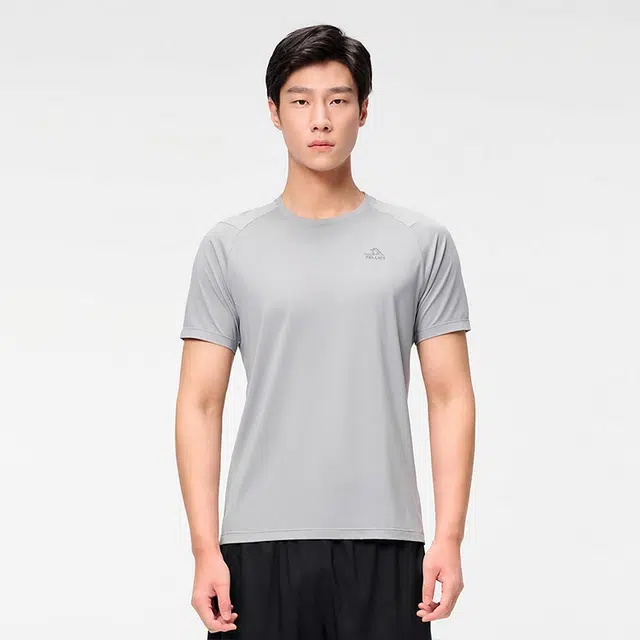 PELLIOT T
