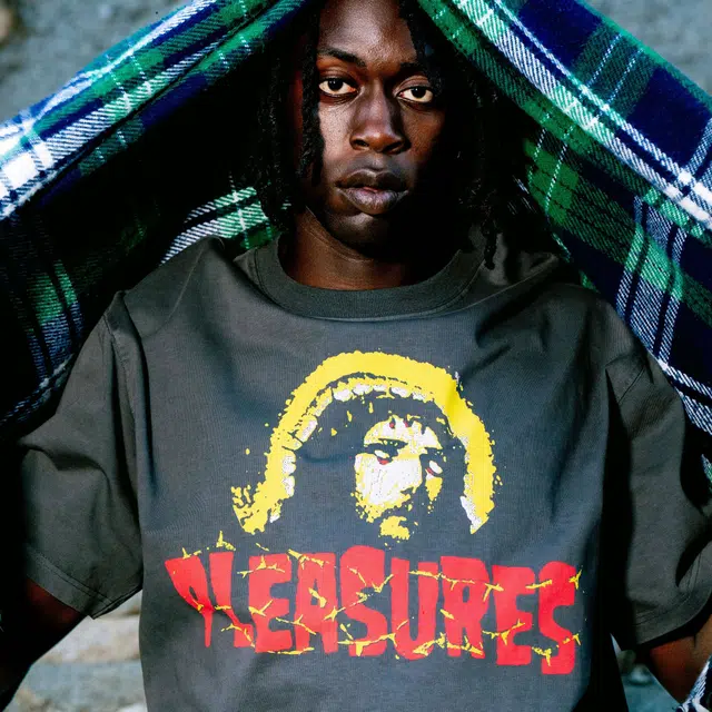 PLEASURES T