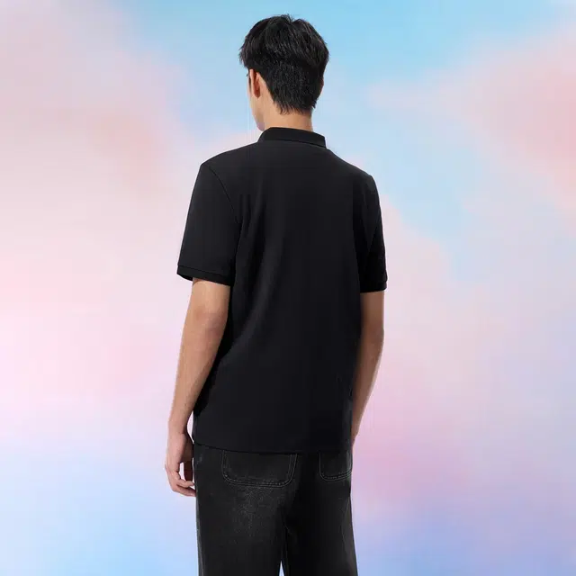 HLA Polo