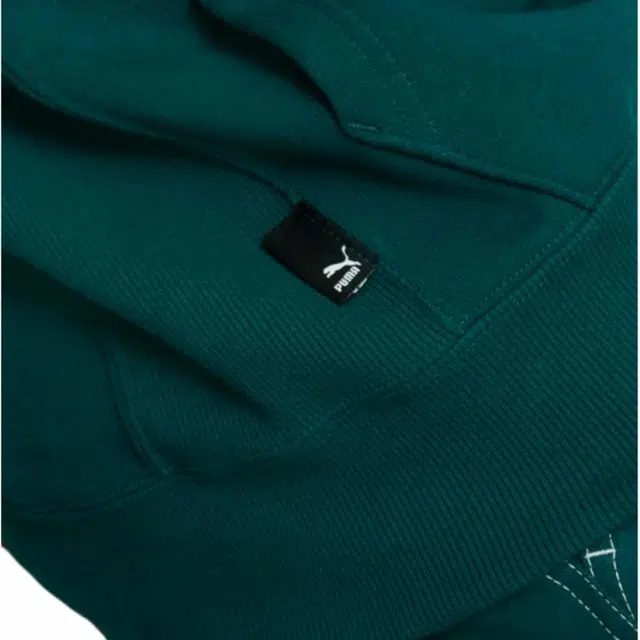 Puma Logo