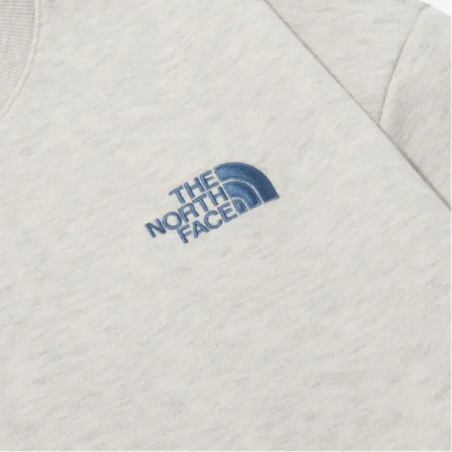 THE NORTH FACE Logo