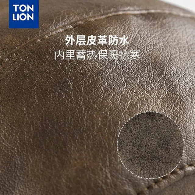 tonlion