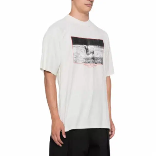 Magliano T
