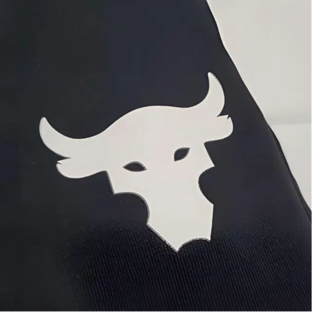 Under Armour Project Rock Terry Joggers Logo