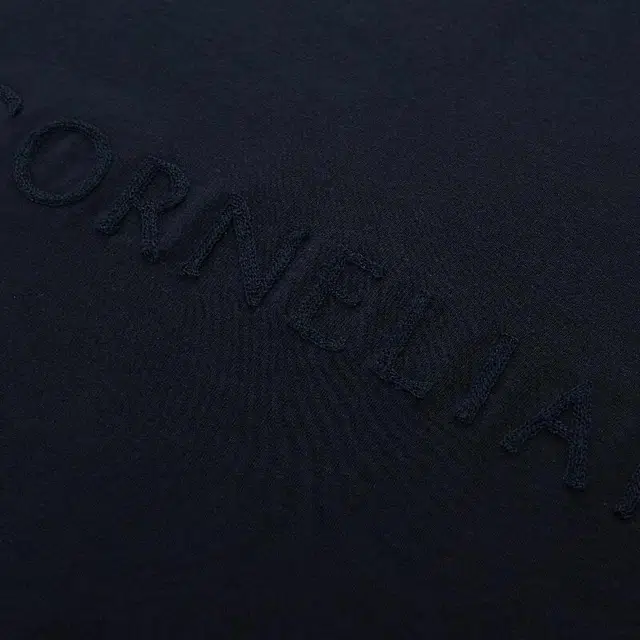 CORNELIANI FW24 T