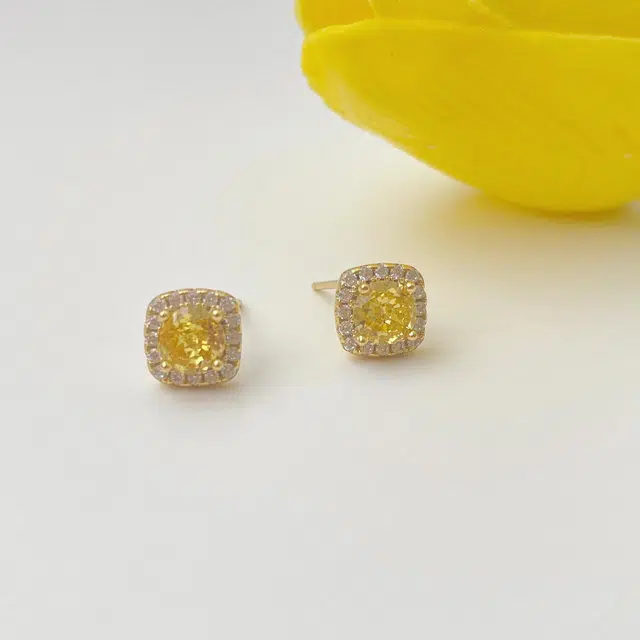 zoo jewel S925