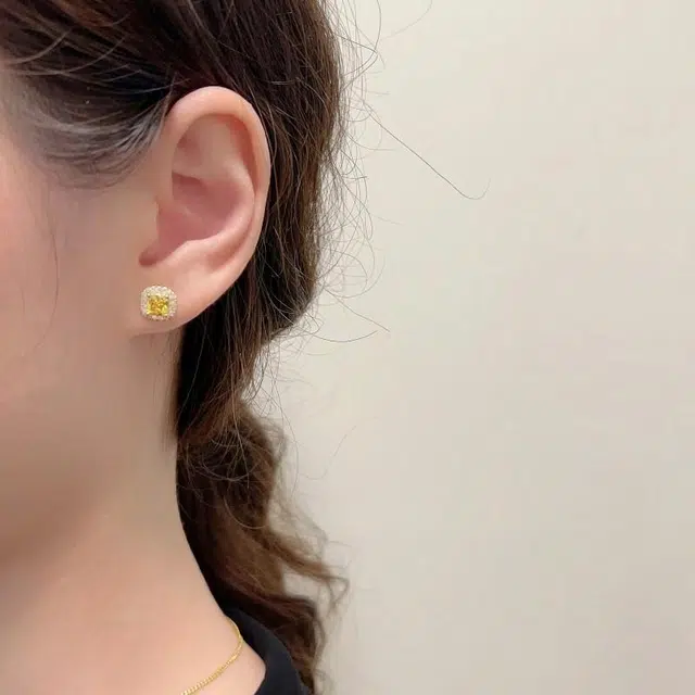 zoo jewel S925