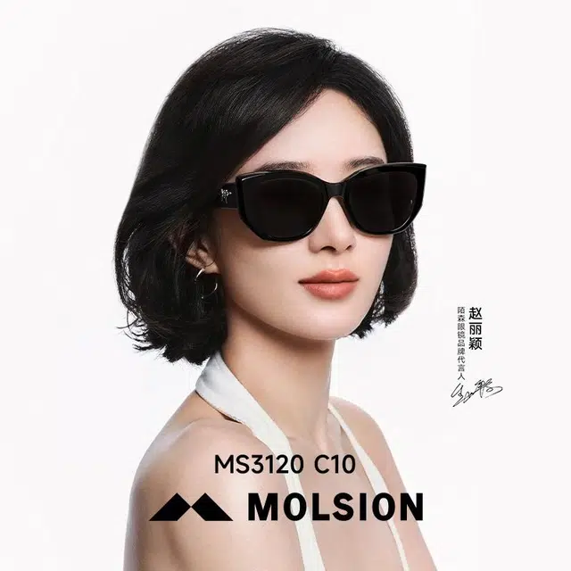 MOLSION