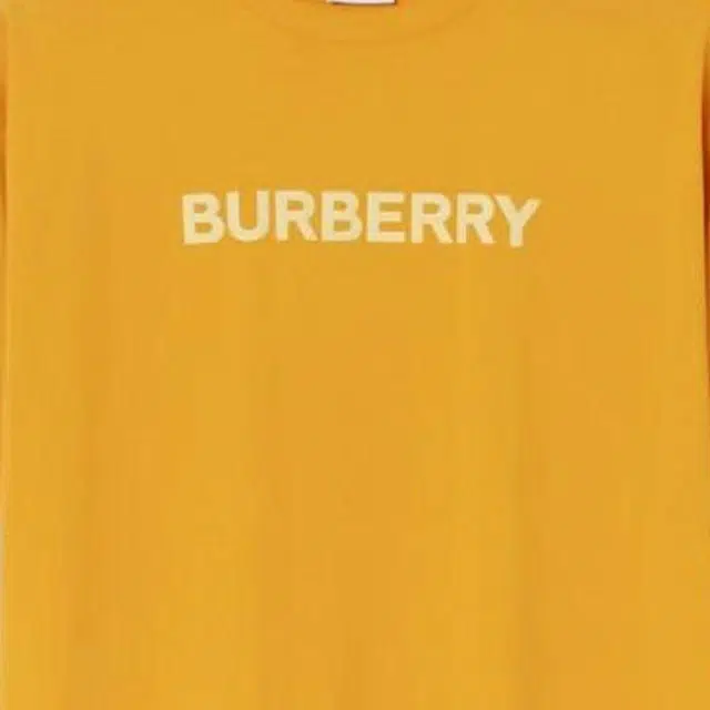 Burberry SS23 LogoT
