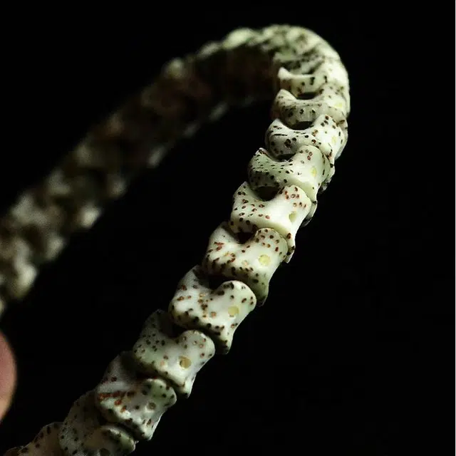 KiNGZiT