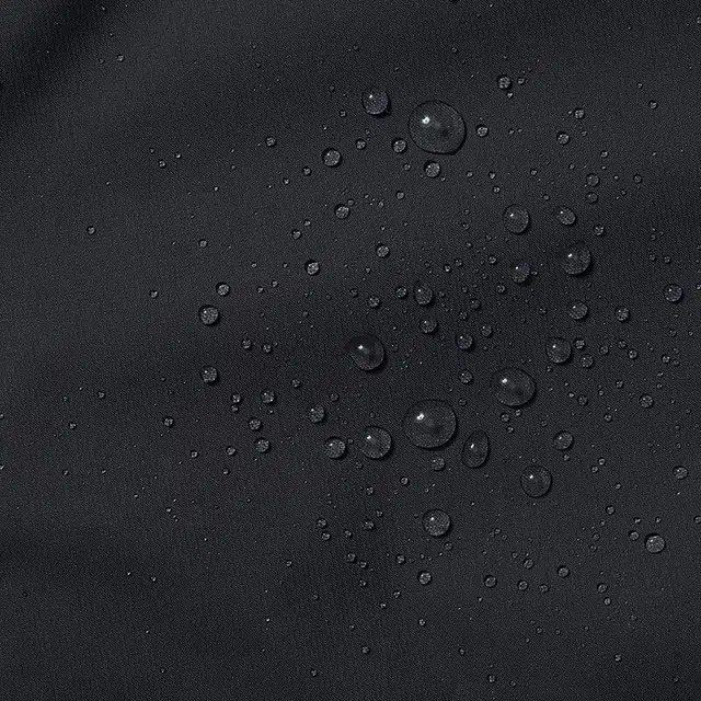 THE NORTH FACE Logo