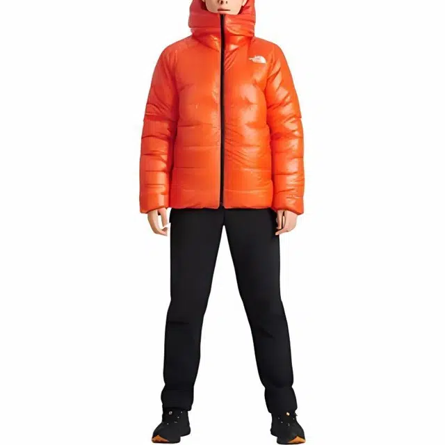 THE NORTH FACE 800
