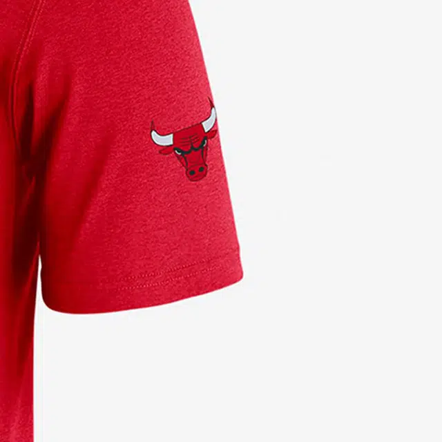 Jordan Logo T