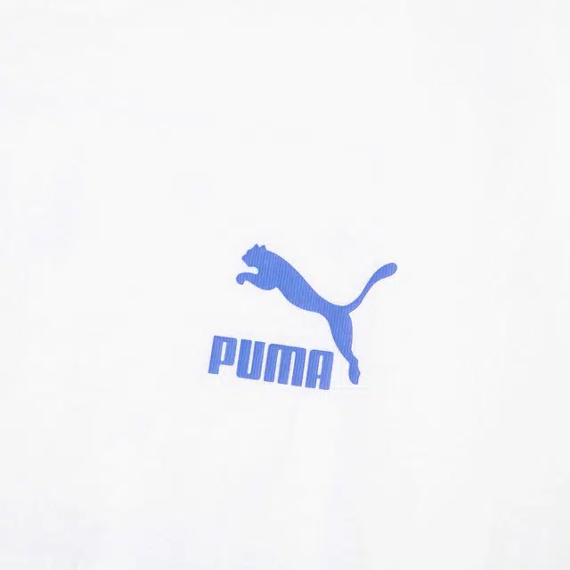 PUMA CLASSICS PC GRAPHIC TEE logoT