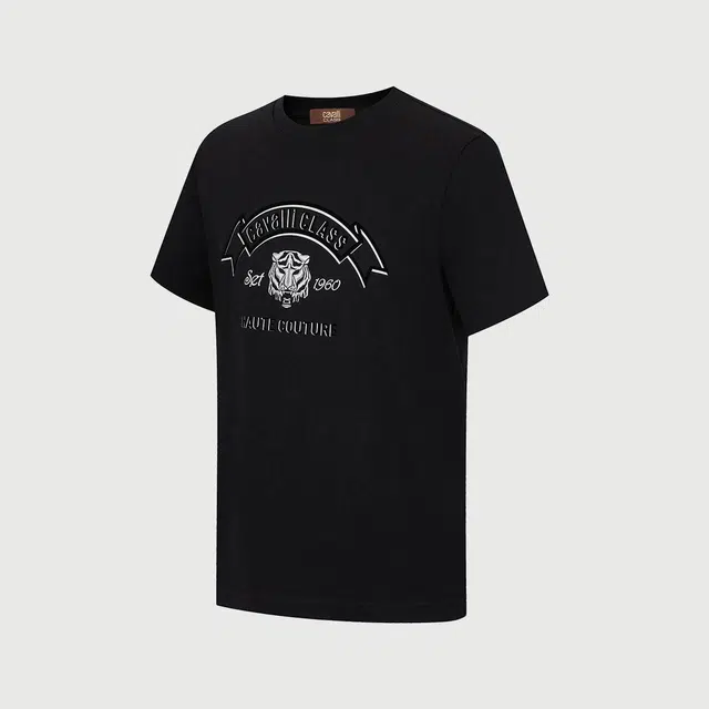 Cavalli Class T