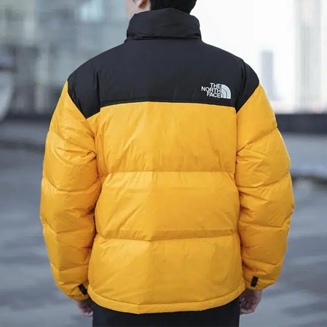 THE NORTH FACE 1996 ICON 700