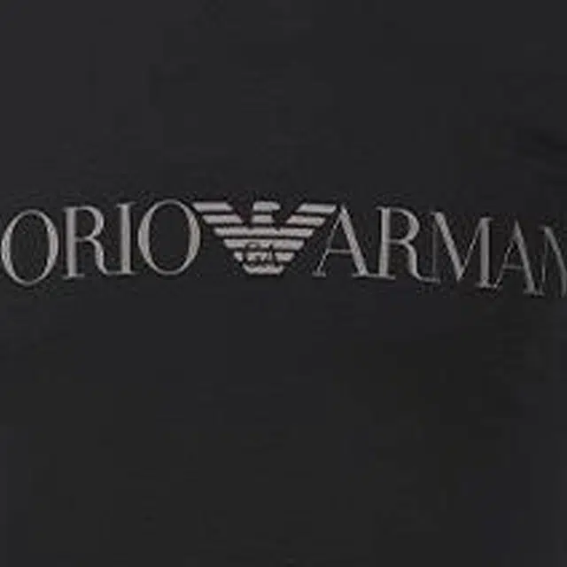 EMPORIO ARMANI FW22 logoT