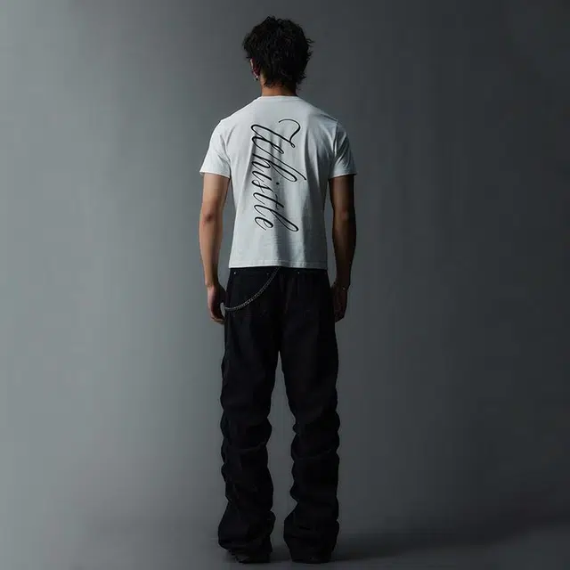 WHISTLEHUNTER T