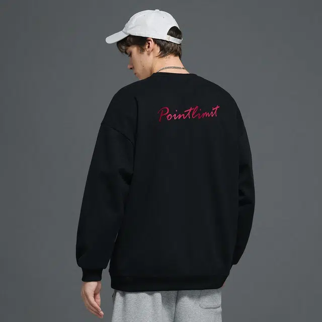 POINTLIMIT Logo