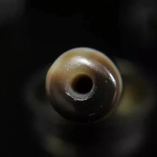 COUMILA 56x14mm