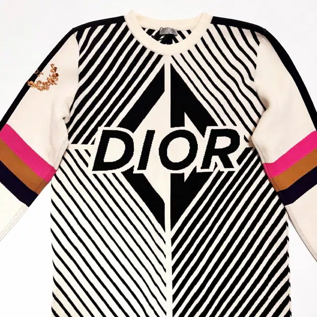 DIOR FW23 Logo