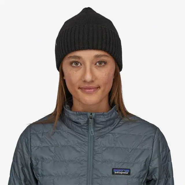 patagonia logo