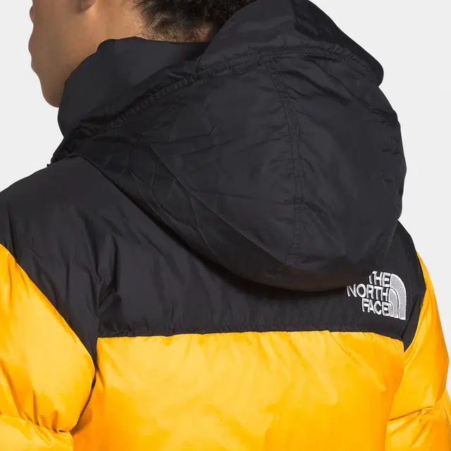 THE NORTH FACE 1996 Nuptse