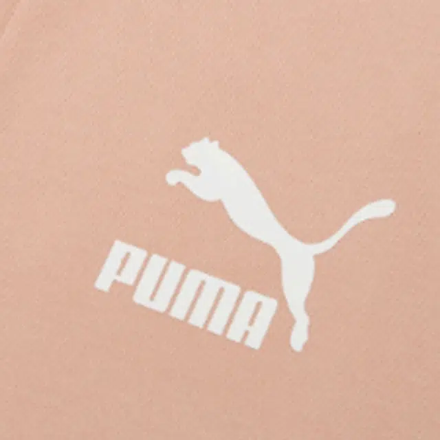 Puma Iconic