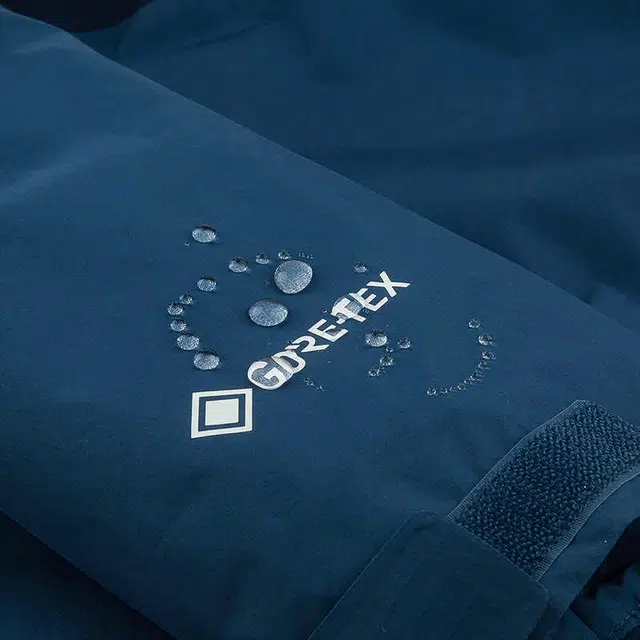 THE NORTH FACE GORETEX 550