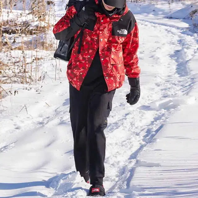 THE NORTH FACE