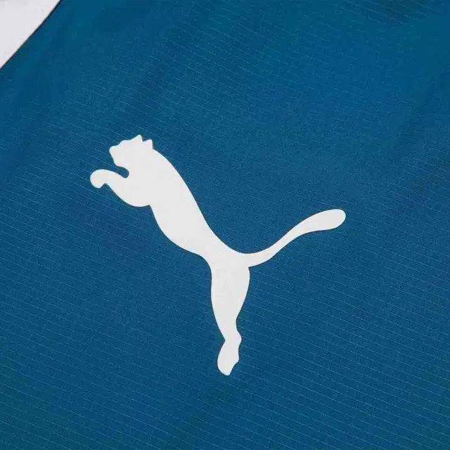 PUMA Mcfc Prematch Woven Pant