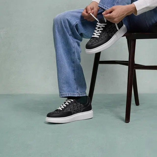 THOM WILLS trainer