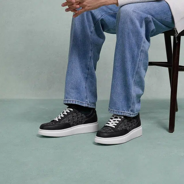 THOM WILLS trainer